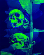 “Life/Death/Life (2)” Fine Art Print
