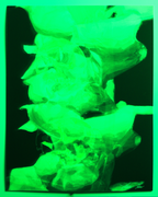 “Life/Death/Life (2)” Fine Art Print