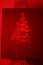 "Life/Death/Life" Original Painting