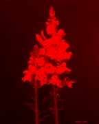 "Life/Death/Life" Fine Art Print