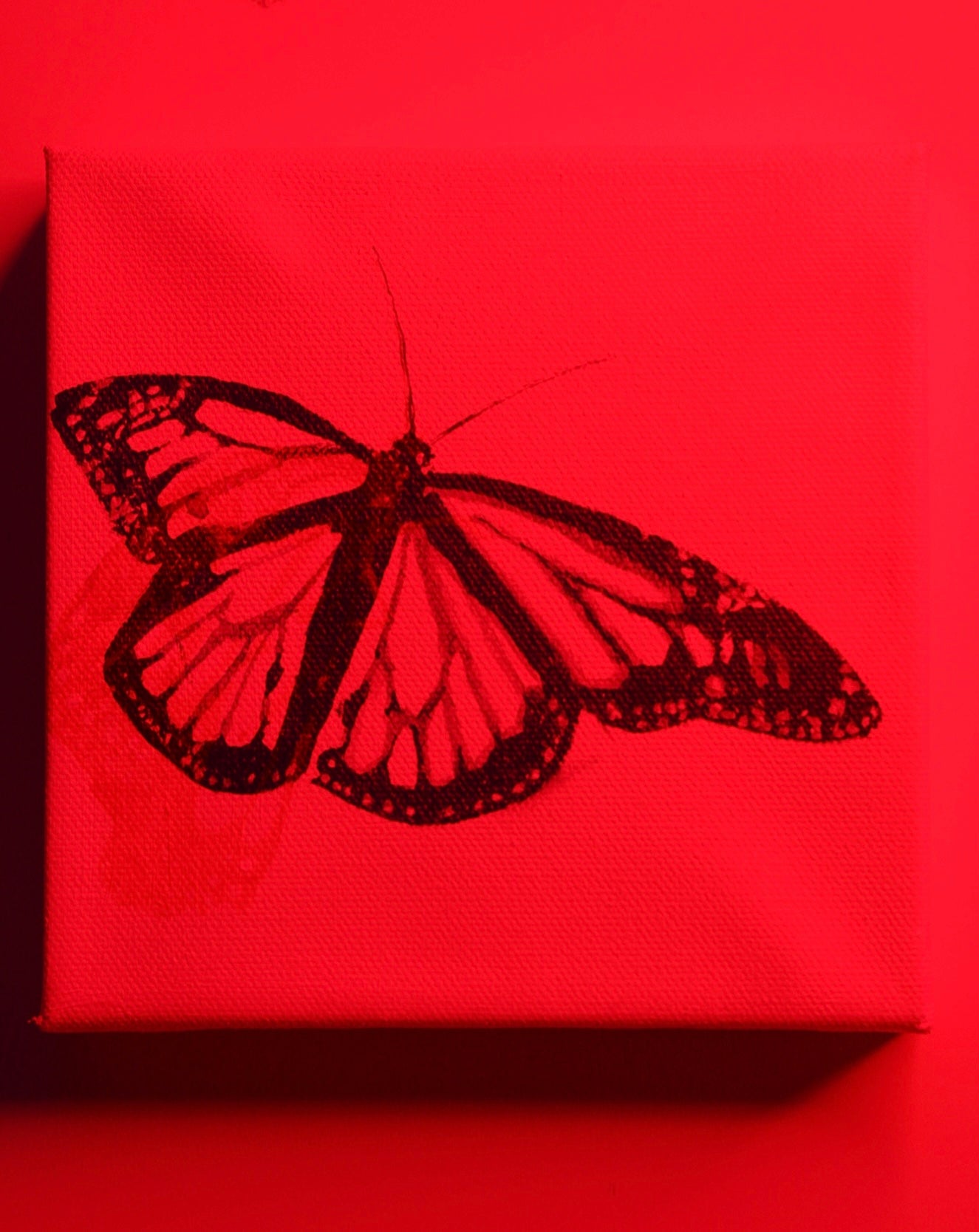 “Primary Monarch” Original Painting