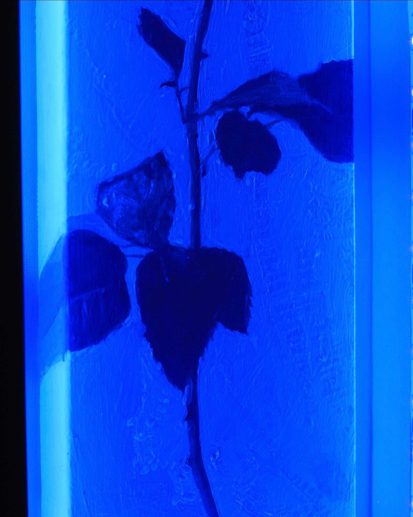"Black Rose" Original Painting